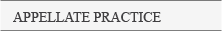 Appellate Practice